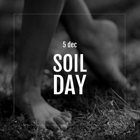 Celebrating Soil Day with Barefoot Connection to Nature - Download Free Stock Templates Pikwizard.com