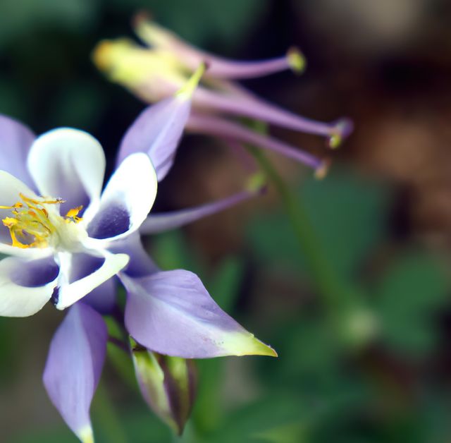 Close up of columbine flowers over leaves created using generative ai technology - Download Free Stock Photos Pikwizard.com