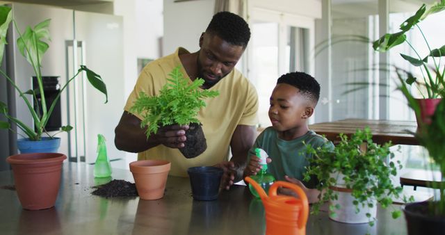 Father assisting his young son in repotting plants in a modern kitchen. Ideal for use in articles or blogs highlighting family bonding activities, gardening tips, father-son relationships, or indoor plant care. Suitable for websites or marketing materials promoting horticulture, family time, and DIY indoor projects.