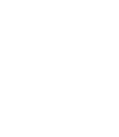Silhouette of Boxer Celebrating Victory on Transparent Background - Download Free Stock Videos Pikwizard.com