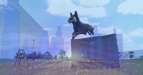 German shepherd jumping over training obstacle carrying dumbbell with city skyline