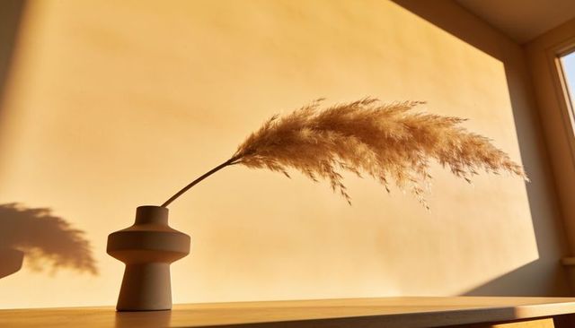 Sunlit pampas grass leaning from matte ceramic vase on wooden shelf casting warm shadow