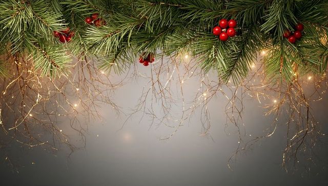 Festive pine garland draping top edge with red berries and warm fairy lights