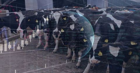 Innovative agribusiness concept dairy with financial overlay