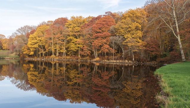Autumn Foliage Reflected in Still Lake