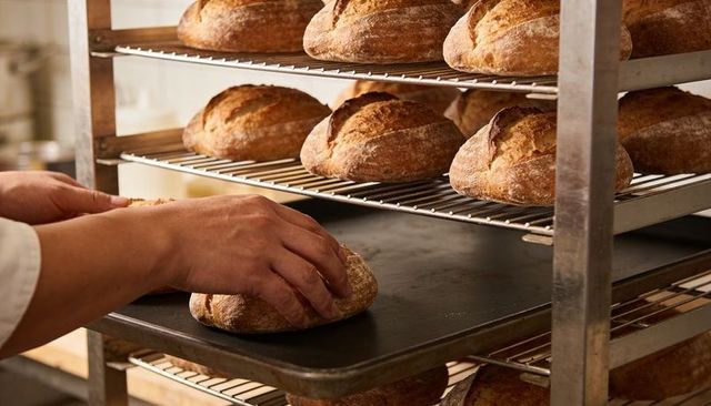 Baker placing artisan sourdough loaf on tray cooling on stainless wire racks in bakery