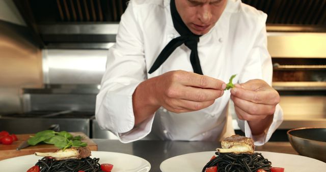 Chef plating gourmet pasta dish in professional kitchen - Download Free Stock Images Pikwizard.com