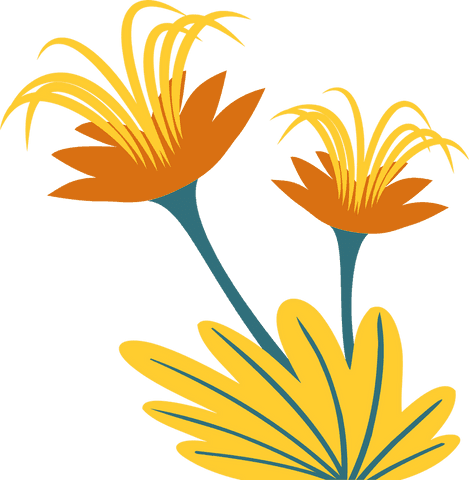 Stylized yellow flowers on transparent background