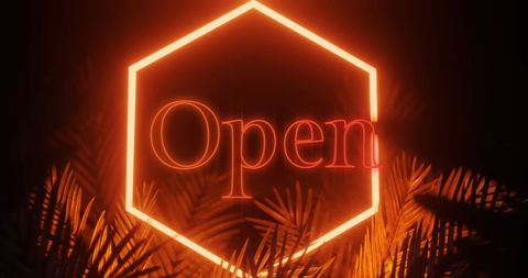 Neon Open Sign Amidst Glowing Foliage on Black