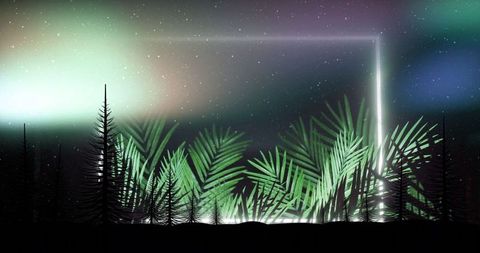 Mystical neon frame among nighttime palm fronds