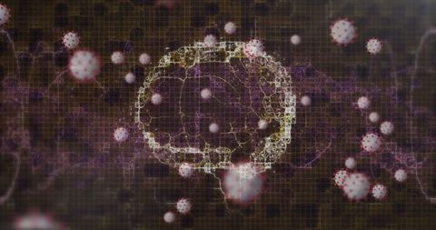 Coronavirus Impact on Brain: Digital Illustration of Infection Effect - Download Free Stock Images Pikwizard.com
