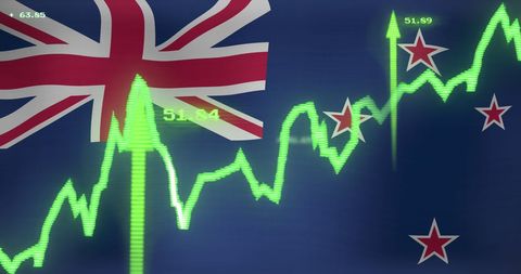 Digital financial data processing over new zealand flag