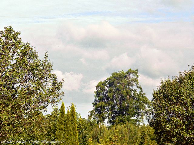 Sky Landscape Clouds - Download Free Stock Photos Pikwizard.com