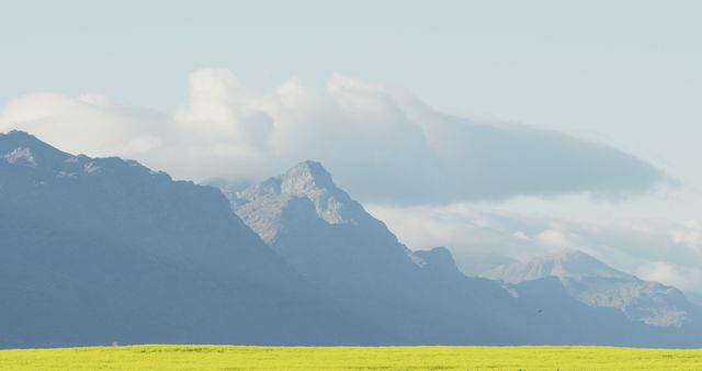 Mountain range under a clear sky with clouds in the distance. The foreground consists of vast yellow fields, providing a tranquil and picturesque setting. Ideal for travel brochures, nature documentaries, and environmental awareness campaigns. Also suitable for posters, wall art, and backgrounds for presentations.
