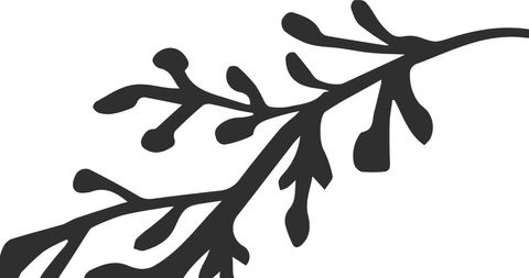 Abstract Leaf Silhouette on White Background