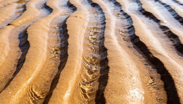 Golden sand ripples with diagonal tidal channels and water caustics on shoreline