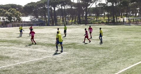 Youth soccer players competing on sunny field