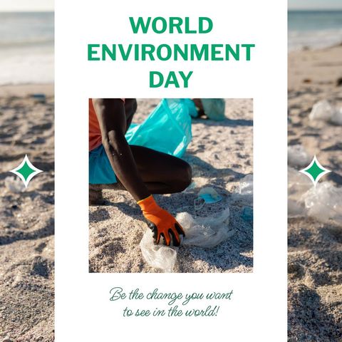 community effort cleaning plastic waste from sandy beach - Download Free Stock Templates Pikwizard.com