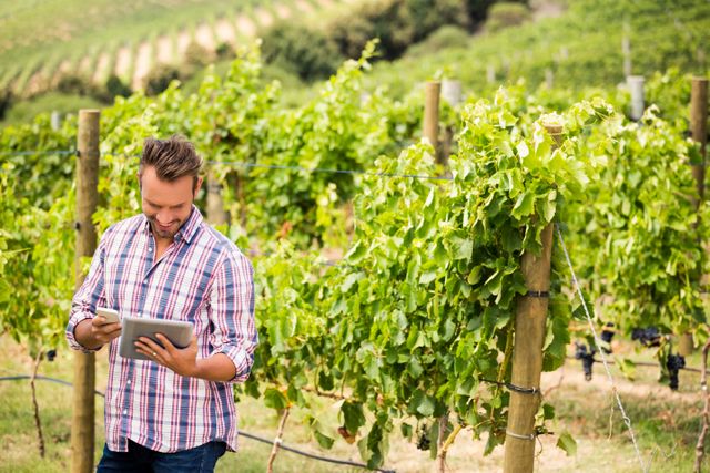 Young man standing in vineyard using digital tablet and phone. Ideal for illustrating modern farming techniques, agricultural technology, rural lifestyle, and outdoor communication. Suitable for articles, blogs, and advertisements related to agriculture, technology in farming, and rural business.