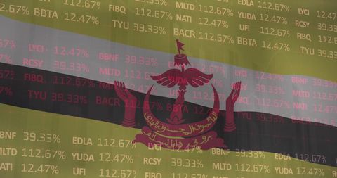 Financial data overlay on brunei flag highlighting global economy