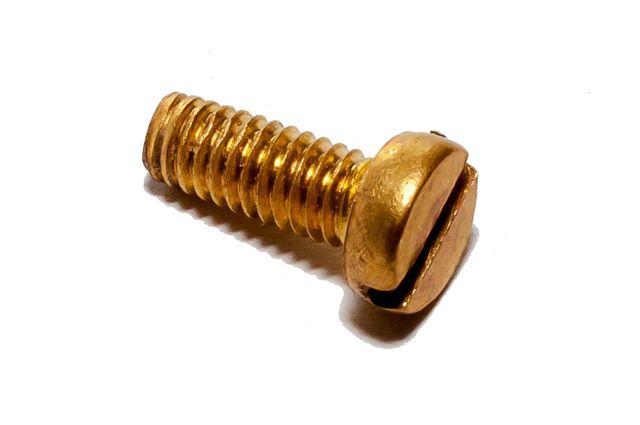 This image showcases a detailed close-up of a single brass screw with a slotted head, isolated on a white background. The shiny metal surface highlights the texture and detail, making it an ideal choice for websites and presentations related to construction, hardware, DIY projects, or industrial tools. It can be used in manuals, catalogs, educational materials, or promotional content focusing on precision and quality of hardware tools.