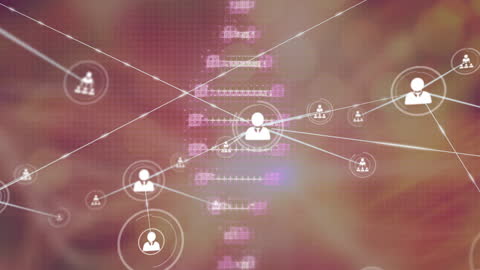 Digital Network of DNA Structure and Profile Icons