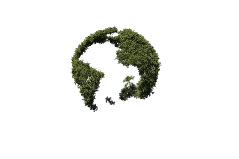 grass continents on transparent background symbolizing global ecology - Download Free Stock Videos Pikwizard.com