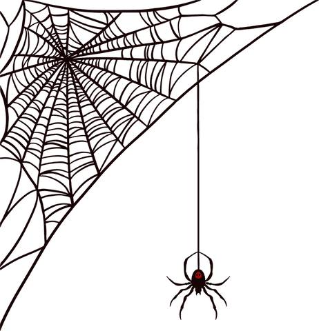 transparent vector of spider hanging on web with red mark - Download Free Stock Videos Pikwizard.com