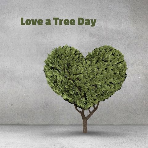 heart shaped tree celebrating love a tree day - Download Free Stock Templates Pikwizard.com