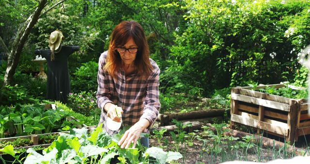 Woman tending to her garden, surrounded by lush green plants on a sunny day. She is wearing a plaid shirt, indicating a casual and comfortable setting. Image showcases outdoor gardening, healthy lifestyle, and eco-friendly activities. Ideal for use in articles, blogs, or websites related to gardening tips, organic farming, and environmental sustainability.