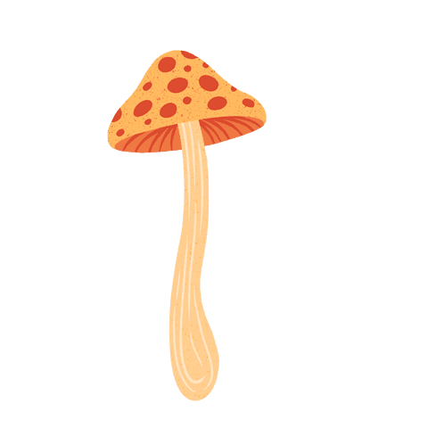 Whimsical mushroom with polka dot cap on transparent background