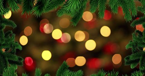 Festive Christmas Bokeh with Fir Branches Highlighting Holiday Cheer - Download Free Stock Images Pikwizard.com