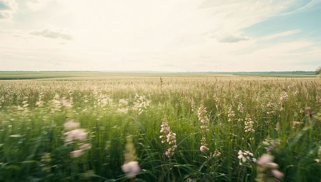Swaying wildflower meadow at golden light, expansive pastoral field with gentle breeze