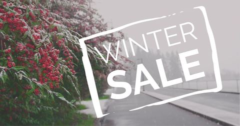 bright red berries covered in snow provide a festive backdrop for a bold winter sale advertising message. this visually striking composition creates a strong holiday-themed appeal for marketing purposes. ideal for promoting seasonal sales during winter months, perfect for advertisements, social media posts, or store banners.