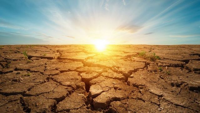 Glowing cracked earth stretching to sunlit horizon at golden hour with green shoots and deep fissure