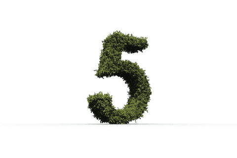 Transparent Number Five Formed by Lush Green Leaves - Download Free Stock Videos Pikwizard.com