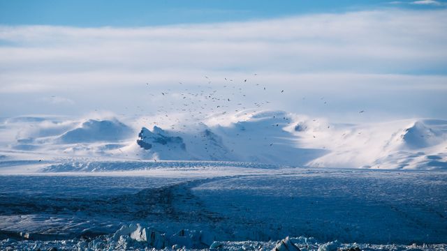 Flock of birds flying over a pristine snow-covered mountain range in a winter landscape. Suitable for travel brochures, nature magazines, and environmental campaigns showcasing the beauty of cold, scenic wilderness.