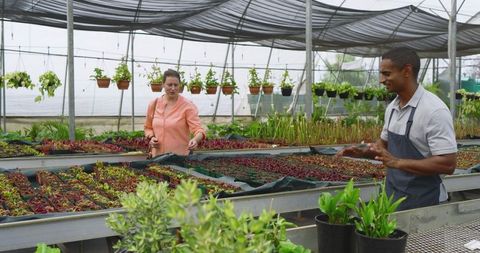 Workers inspect seedlings in sustainable greenhouse horticulture