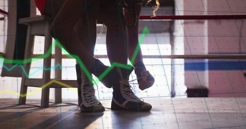 Boxer Ready for Training with Motivation and Progress Graph