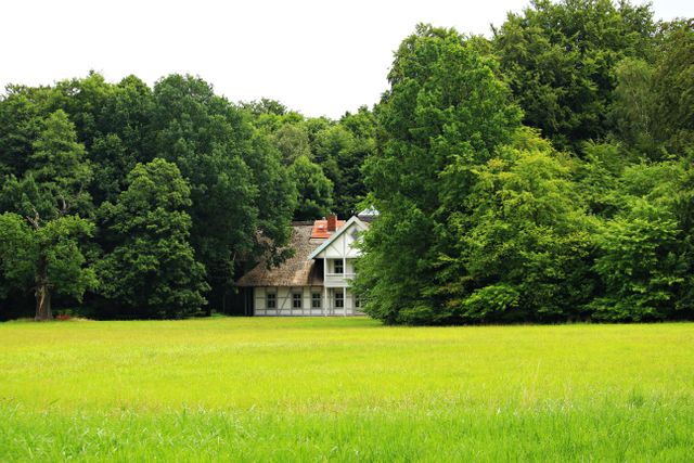 This image depicts an isolated cottage surrounded by dense trees in a lush green field. Ideal for use in articles and blogs about rural retreats, countryside living, peaceful getaways, property advertisements, and landscape photography. It can serve as a visual representation for themes like tranquility, isolation, and a close connection with nature.