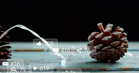 Social Media Notifications Over Nature Scene with Pine cones