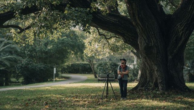 Photographer standing under giant oak tree with tripod in quiet park
