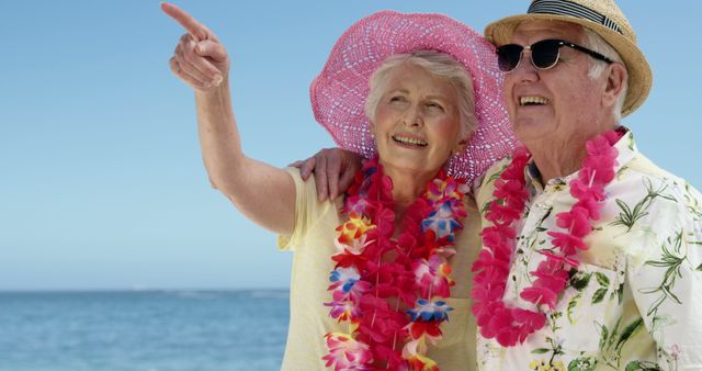 Happy Elderly Couple Enjoying Tropical Vacation at Beach - Download Free Stock Images Pikwizard.com