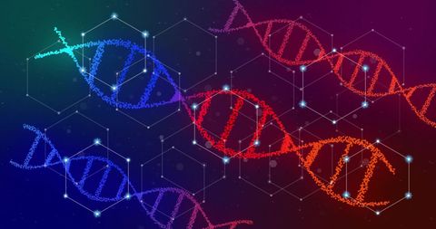 Digital DNA Helixes with Glowing Network Overlay - Download Free Stock Images Pikwizard.com