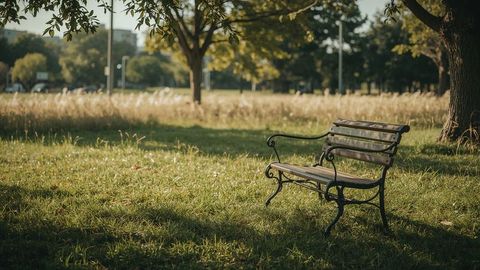 Serene park bench in lush greenery with tranquil atmosphere