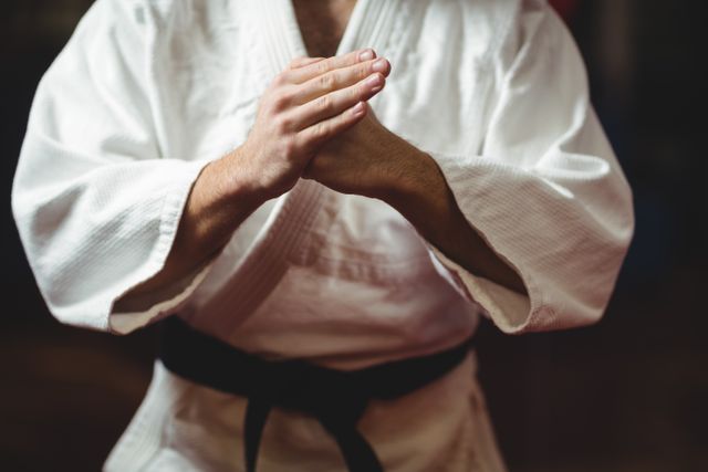 Karate player wearing traditional gi with black belt performing a karate stance. Ideal for use in articles about martial arts, self-defense training, fitness routines, and discipline. Suitable for promoting martial arts schools, fitness centers, and sportswear brands.