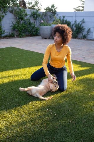 Woman Petting Golden Puppy on Lawn in Courtyard Sunshine