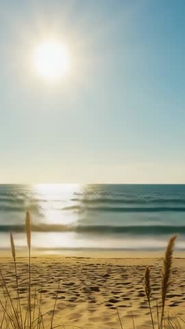 Vertical Timelapse Sun Descending Over Quiet Beach with Dune Grass, Waves and Reflection