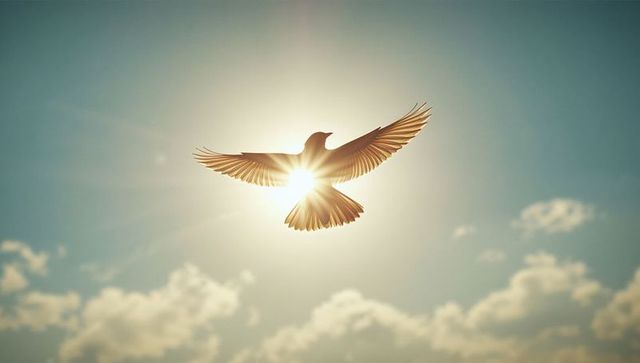 Solitary Bird in Sunlit Sky Embracing Freedom