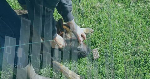 Senior Woman Gently Comforting German Shepherd on Grass with Chart Overlay